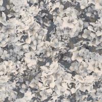 8042-22 Обои Ornamy 6 Hortensia  *** АКЦИЯ