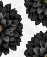 Аврора 07 124В 1/9 0,53 *10м на бумажной основе Саратов