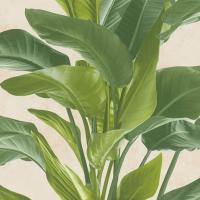 38039-2 Обои AS Creation 6 ф (цв) 1.06Х10