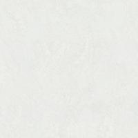 7236-00 Обои Euro Decor 6 Bengal