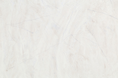 SL72181-22 Обои виниловые на флизелиновой основе