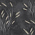 285038/Обои/Accento/Reeds/Камыши бежевые на черном фоне к 285045/Компактный винил на флизелине/1,06*