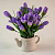 Композиция/цветы 256 Крокус сиреневый/чайник 90x140x200