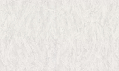 SL72181-46 Обои виниловые на флизелиновой основе