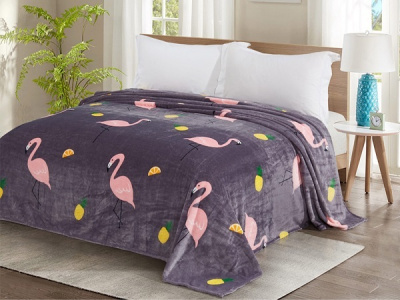 1375  Плед Велсофт Евро