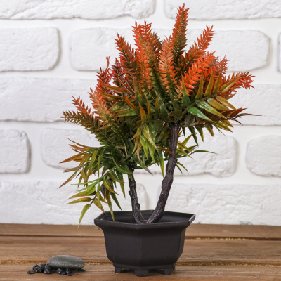 Бонсай "Блехнум" 11х25,5 см, микс 3931552